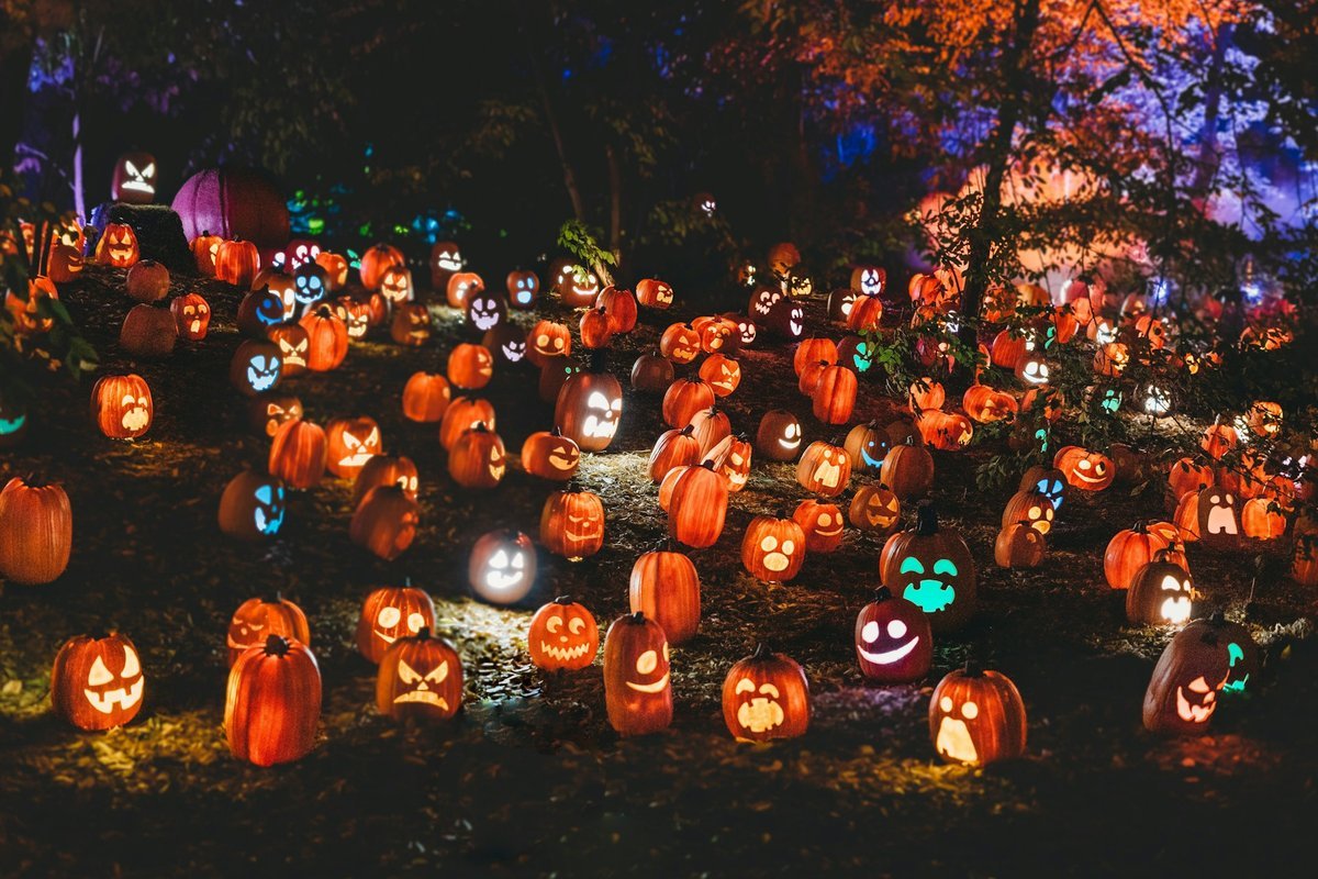 Spooktacular Ways to Give Back: Celebrating Halloween 2026 in Vaughan