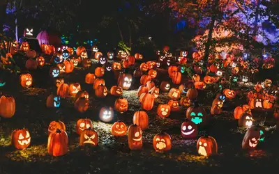 Image à la une pour Spooktacular Ways to Give Back: Celebrating Halloween 2026 in Vaughan