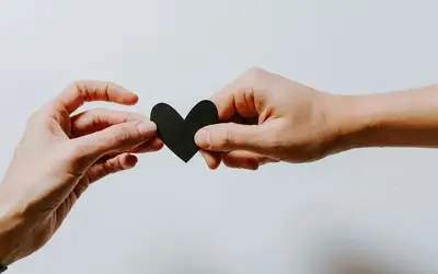 Image à la une pour Volunteer Opportunities in Vaughan (Oct 12 - Oct 18, 2026)