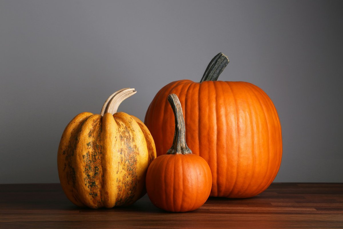 Setting a Wider Table: Meaningful Ways to Give Back This Thanksgiving Across Vaughan