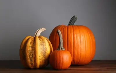 Image à la une pour Setting a Wider Table: Meaningful Ways to Give Back This Thanksgiving Across Vaughan