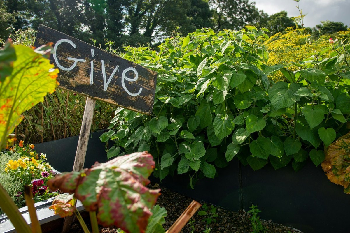Innovate Today, Nourish Tomorrow: Reimagining Food Security Across Vaughan