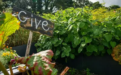 Image à la une pour Innovate Today, Nourish Tomorrow: Reimagining Food Security Across Vaughan