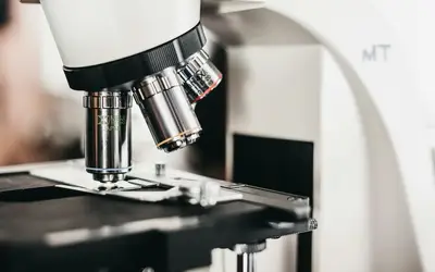 Micro-Volunteering in Vaughan: How to Make a Big Difference in Just Minutes